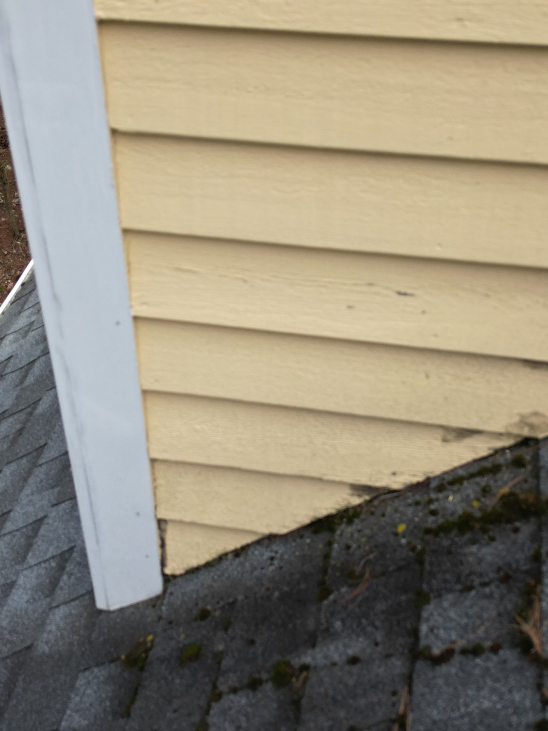 Siding | Dunstable by Mighty Dog Roofing of Greater Middlesex County