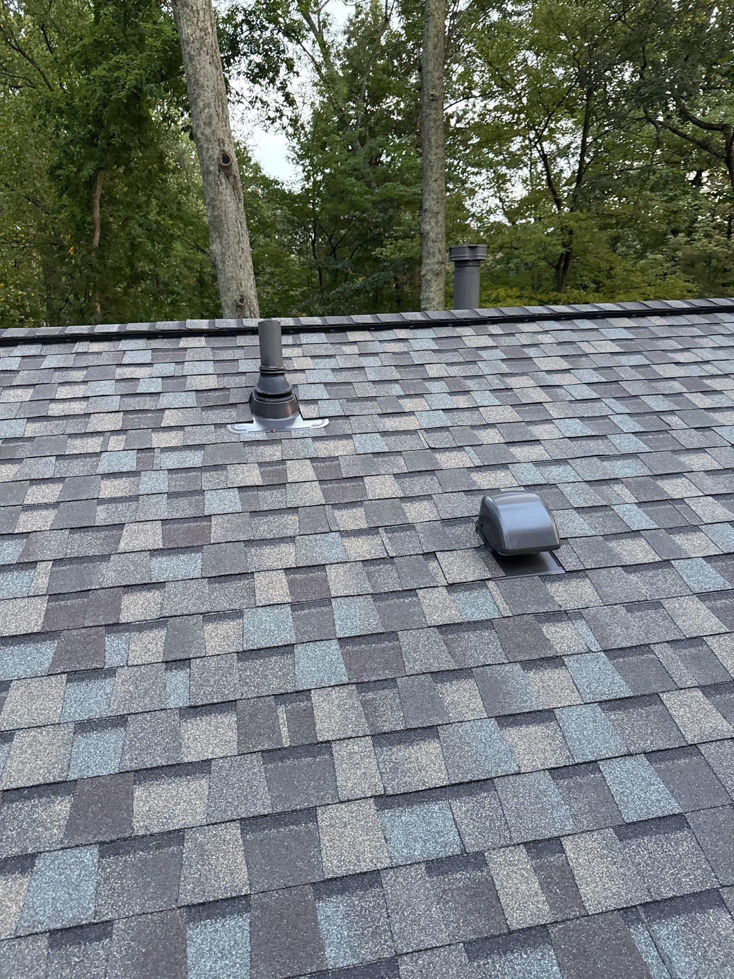 Springfield : Residential Roof Replacement with CertainTeed Landmark Pro in Max Weathered Wood  by RM Banning, Inc.