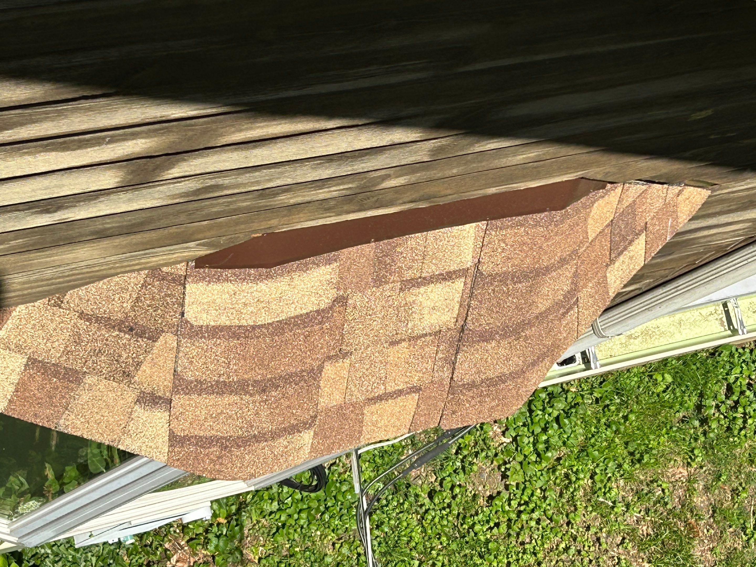 Annandale: Multi-Trade Tree Damage Restoration by RM Banning, Inc.