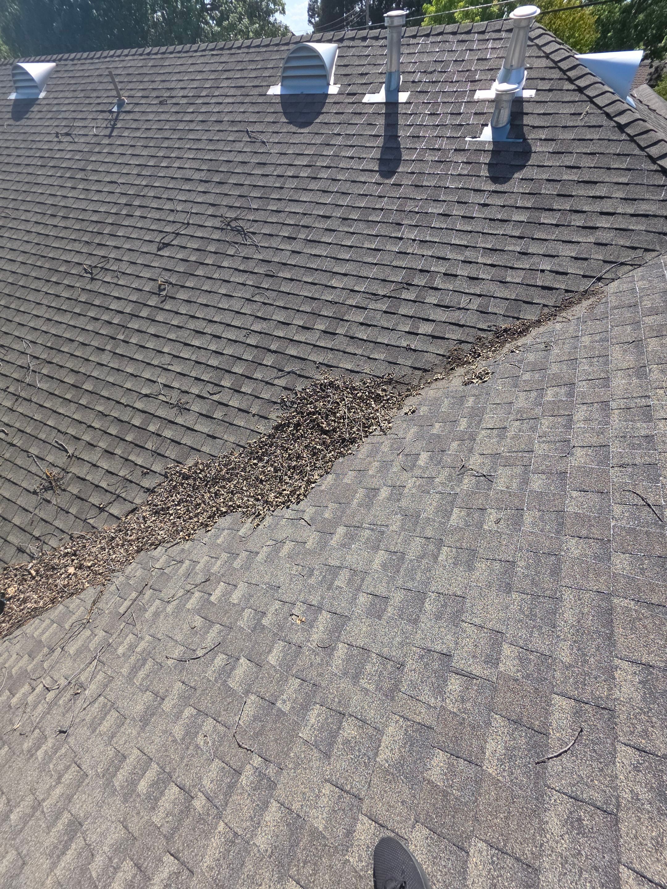 Roof Rejuvenation using Roof Maxx Treatment by Roof Maxx of Folsom