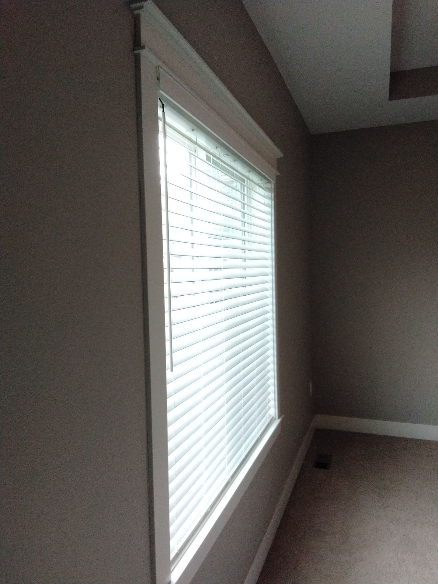Repaint Walls Same Color  by Midwest Paint LLC