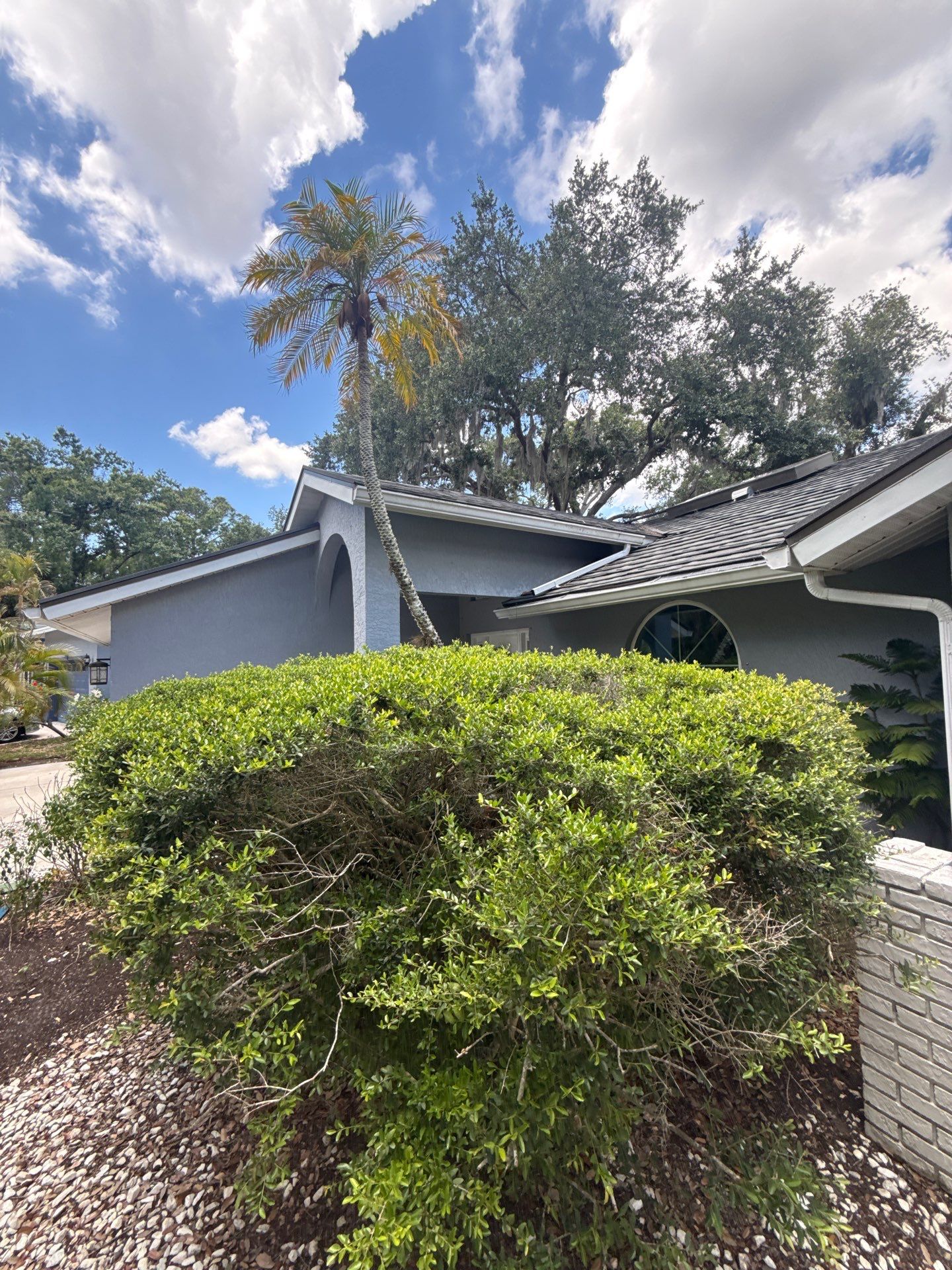 Gutter Guards Installation using Leaf Guard in Sarasota FL by Gutter Professors
