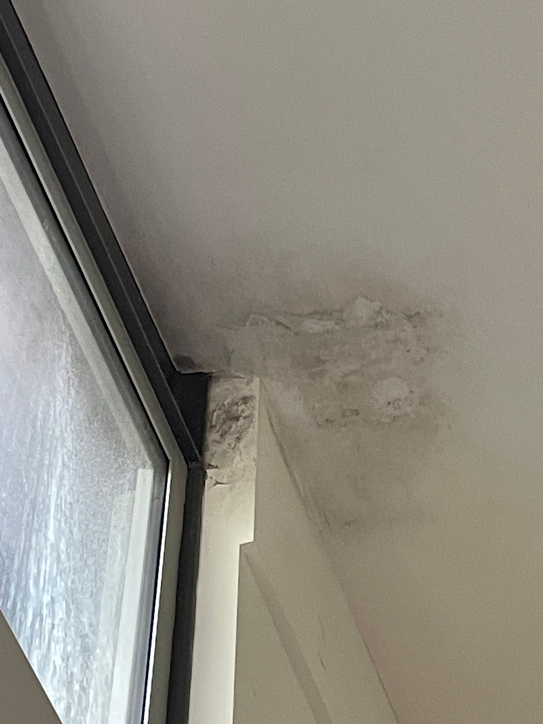 Leak Repair and Maintenance for a Standing Seam Metal Roof in Venice  by Hull Brothers Roofing