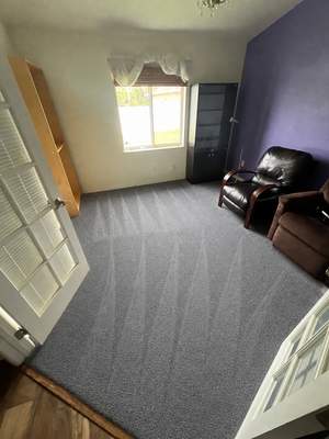 Carpet