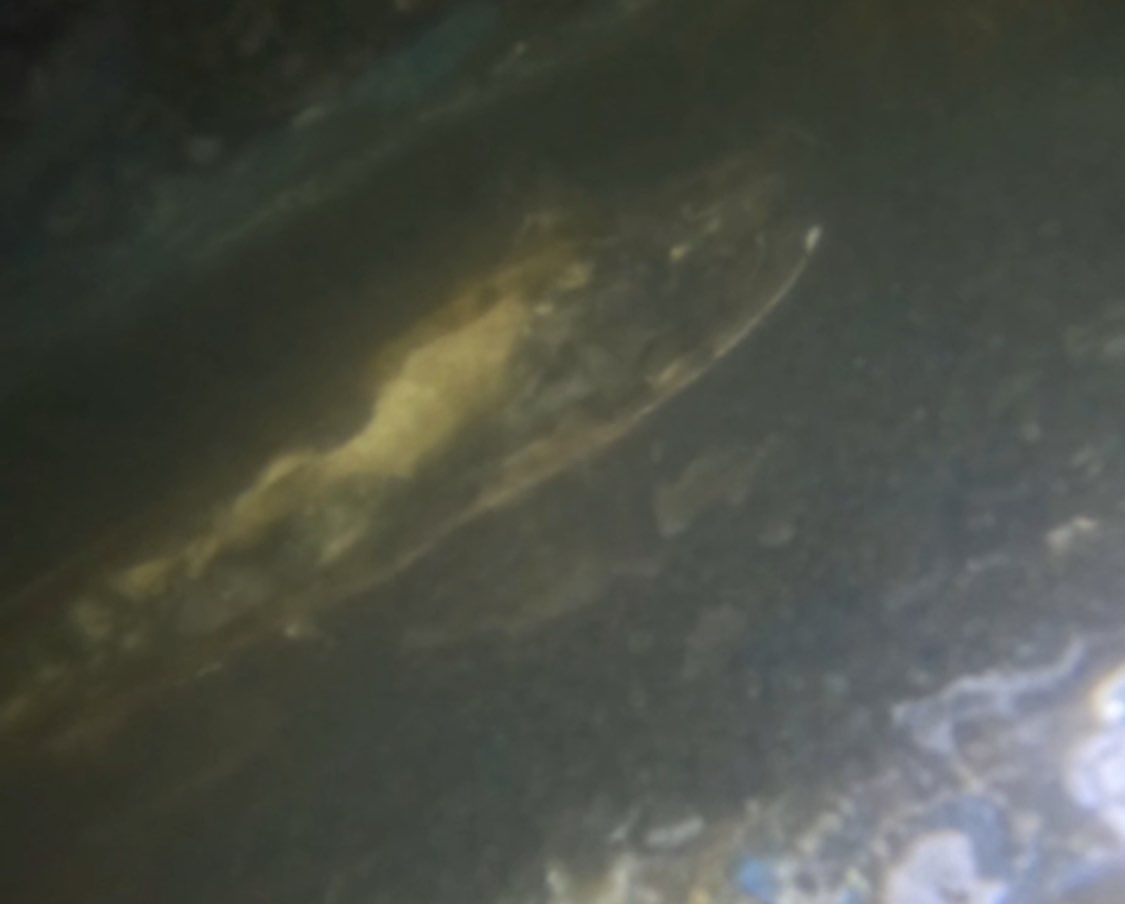 Florida Hull Cleaning - Divers | Fort Myers, Cape Coral, Naples, Venice featured photo.