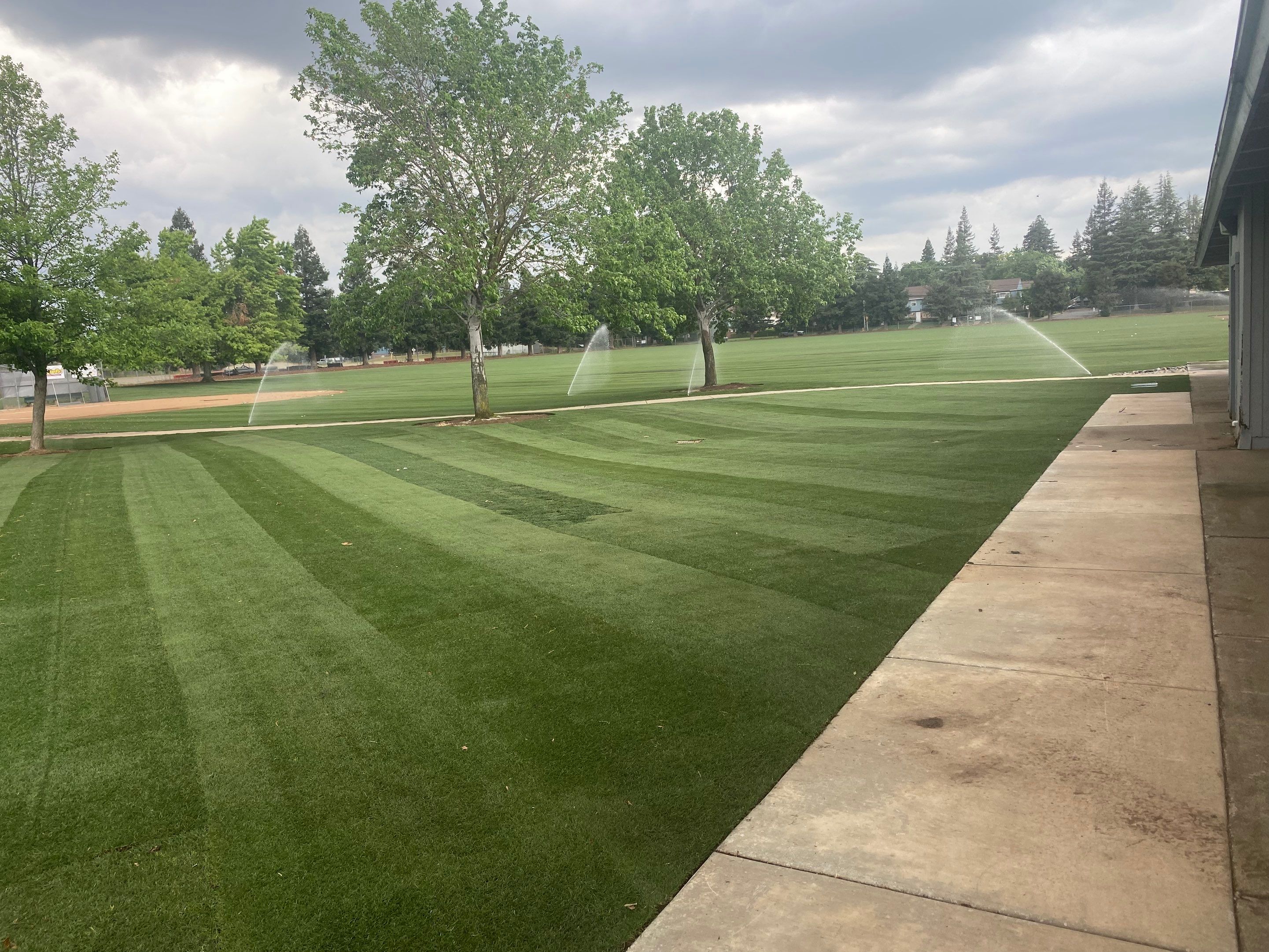 Project in Carmichael by A - G Sod Farms