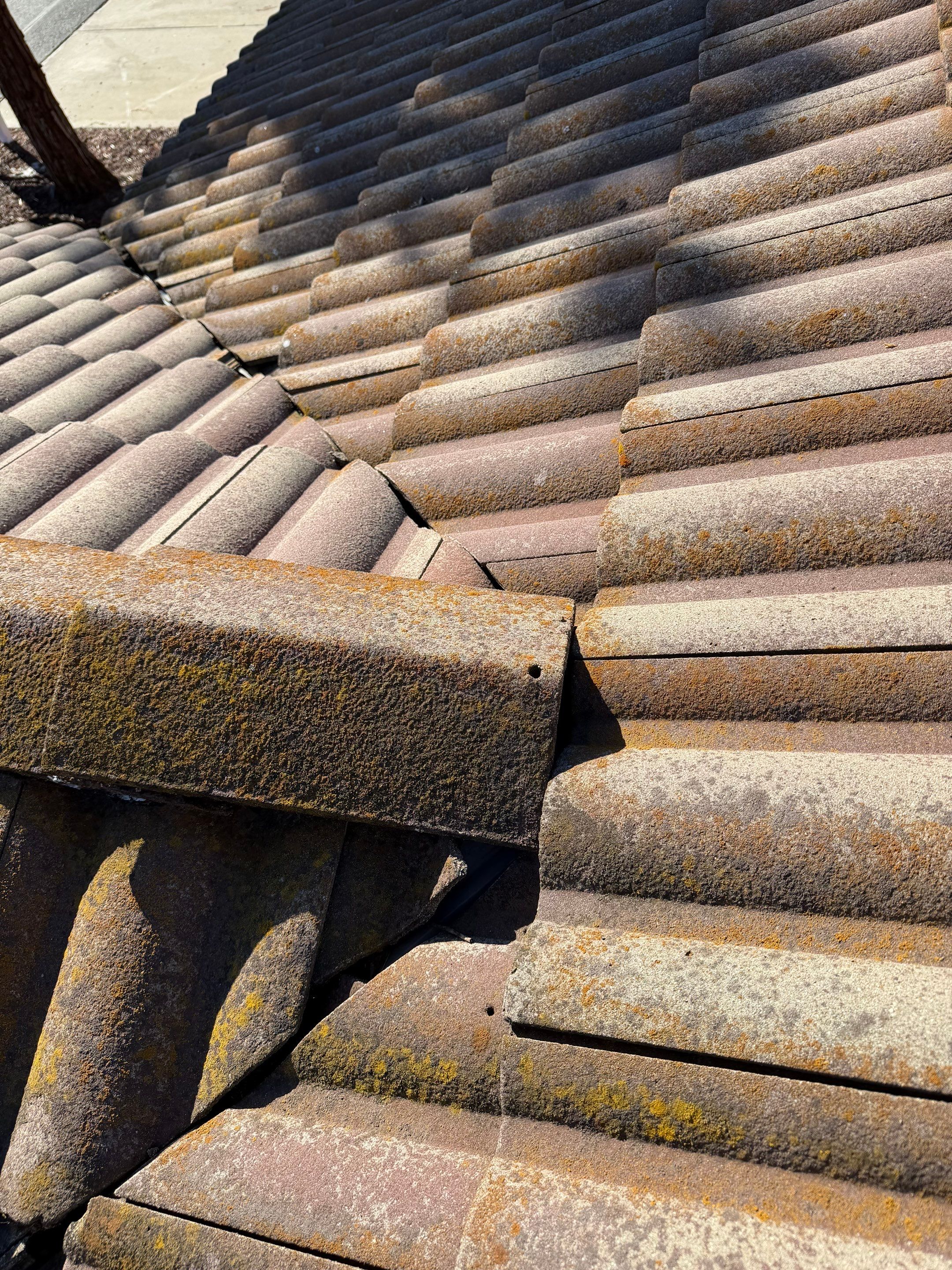 Project in Citrus Heights  by NuLead Construction Inc