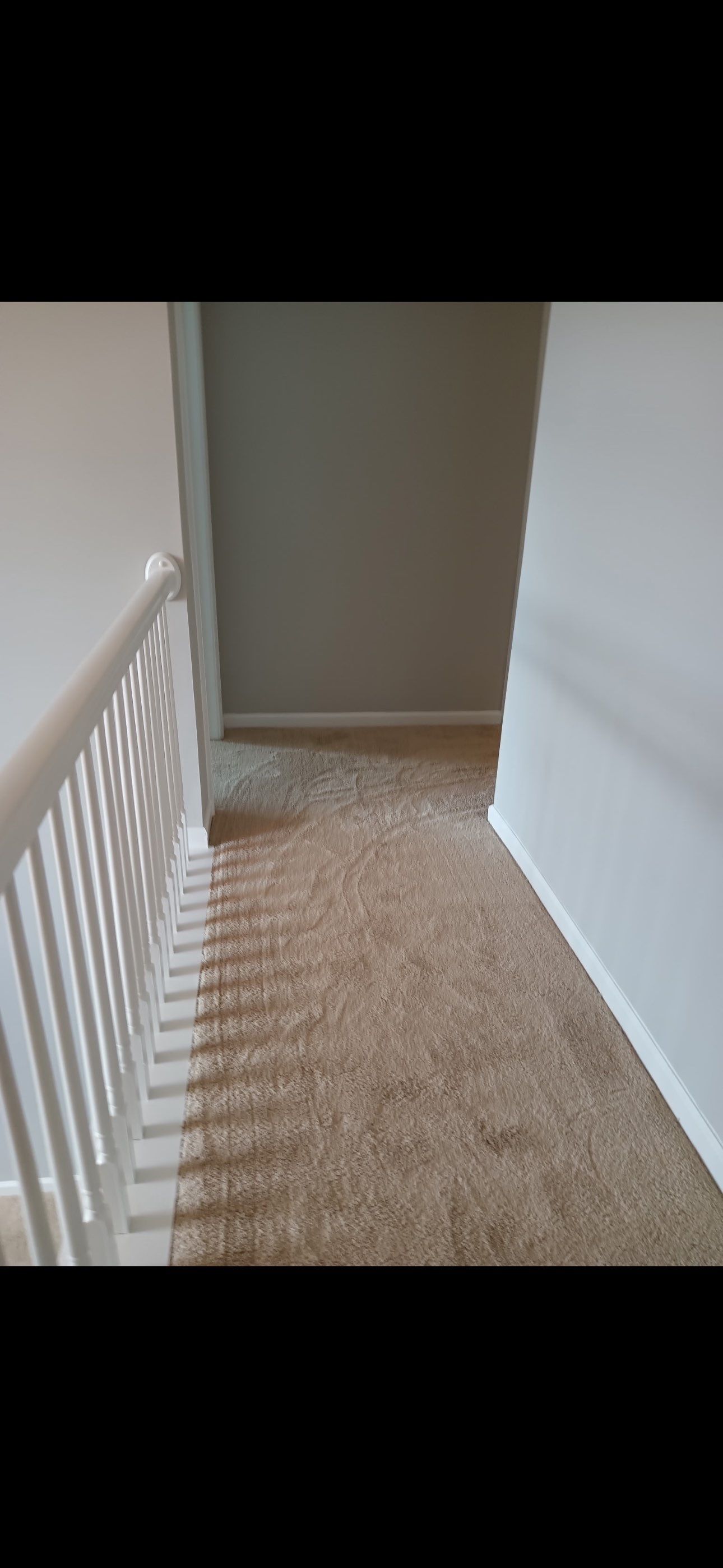Project 84 by FMP Flooring