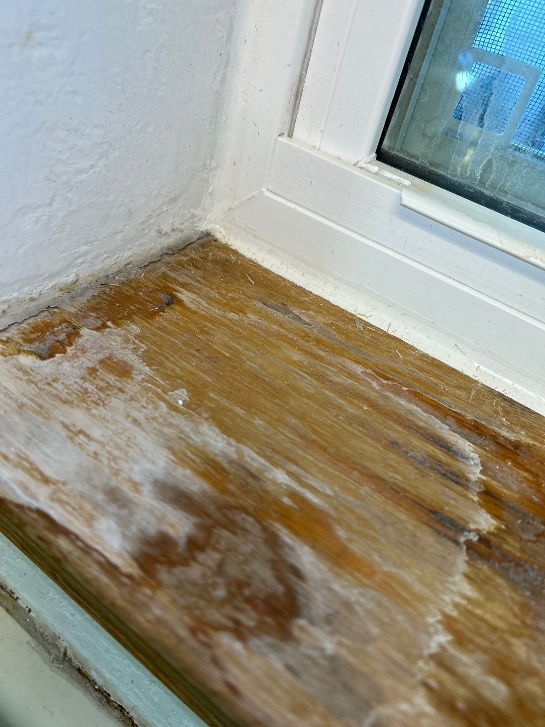 Water Damage by Accountable Home Services