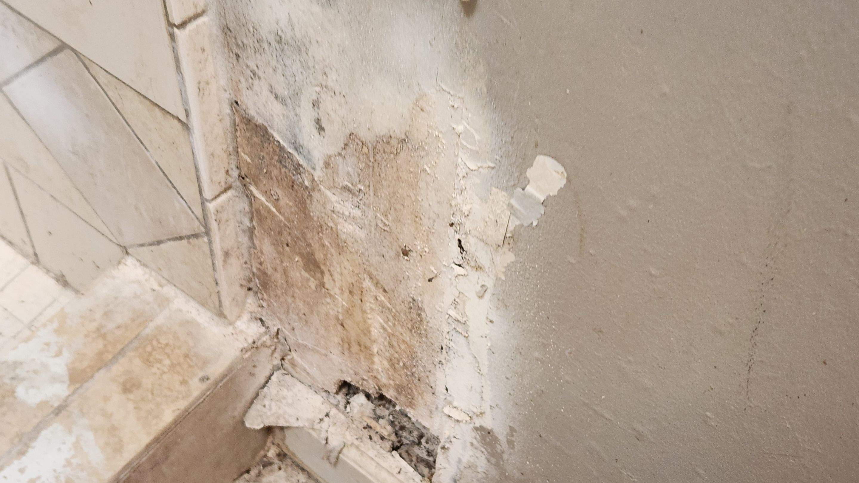 Tree Damage Claim in Orlando by FLAPA & KeyStone