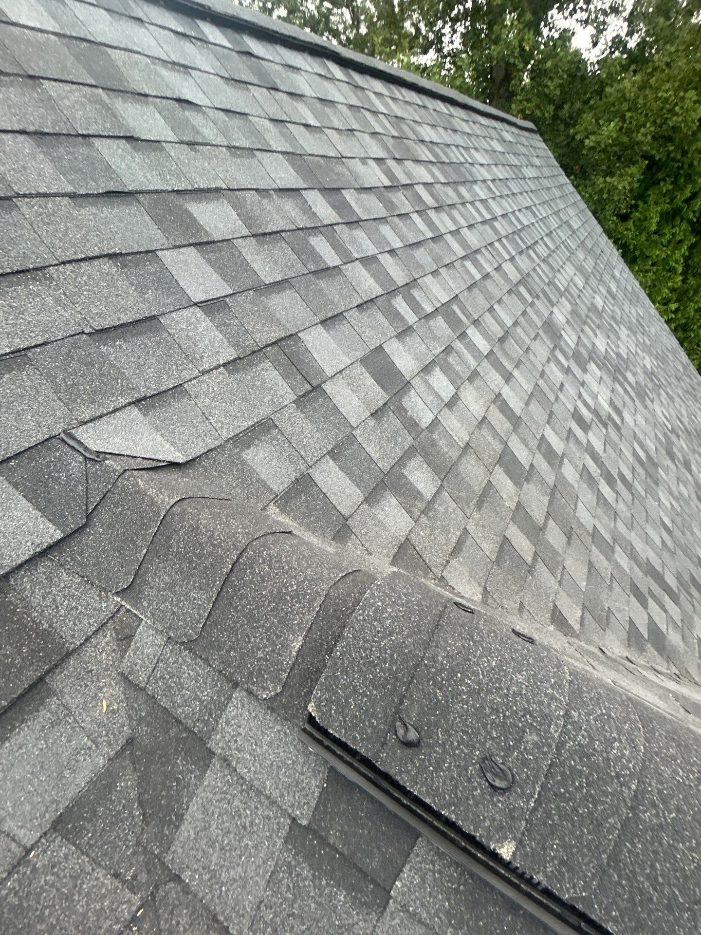 Great Falls : residential Roof with CertainTeed Landmark Pro in Max Def Moire Black  by RM Banning, Inc.