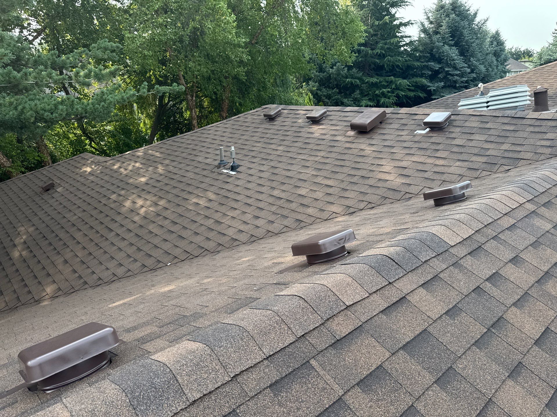 Boise Commercial Roof Replacement with Brown Architectural Shingles by Olive Roofing