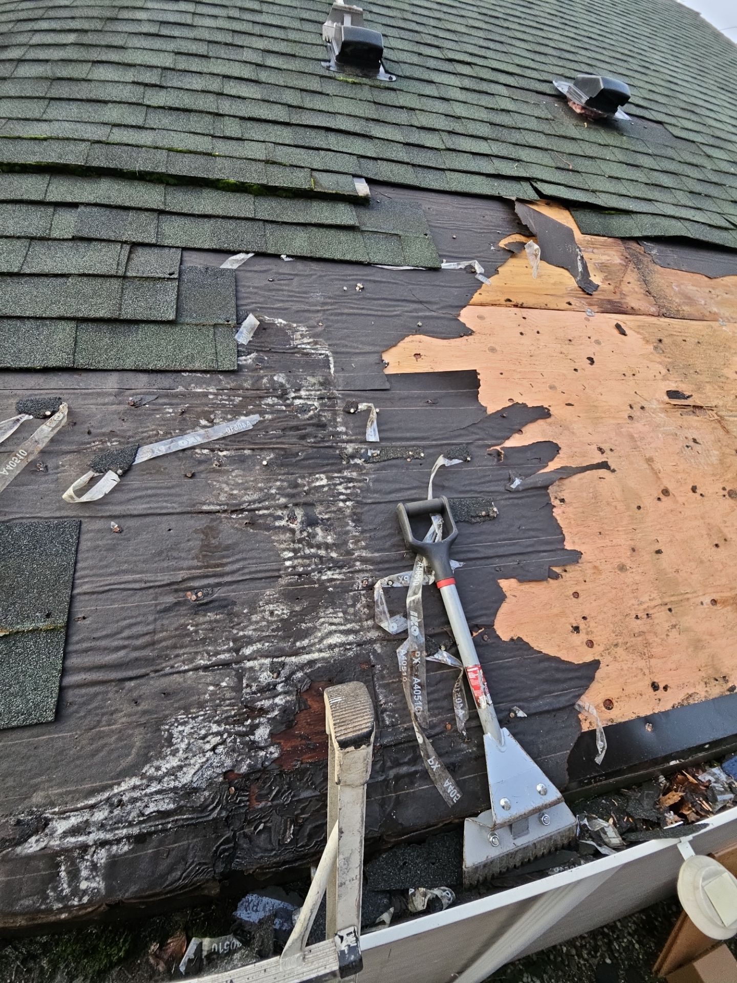Project in Snohomish by Peaks and Valleys Construction