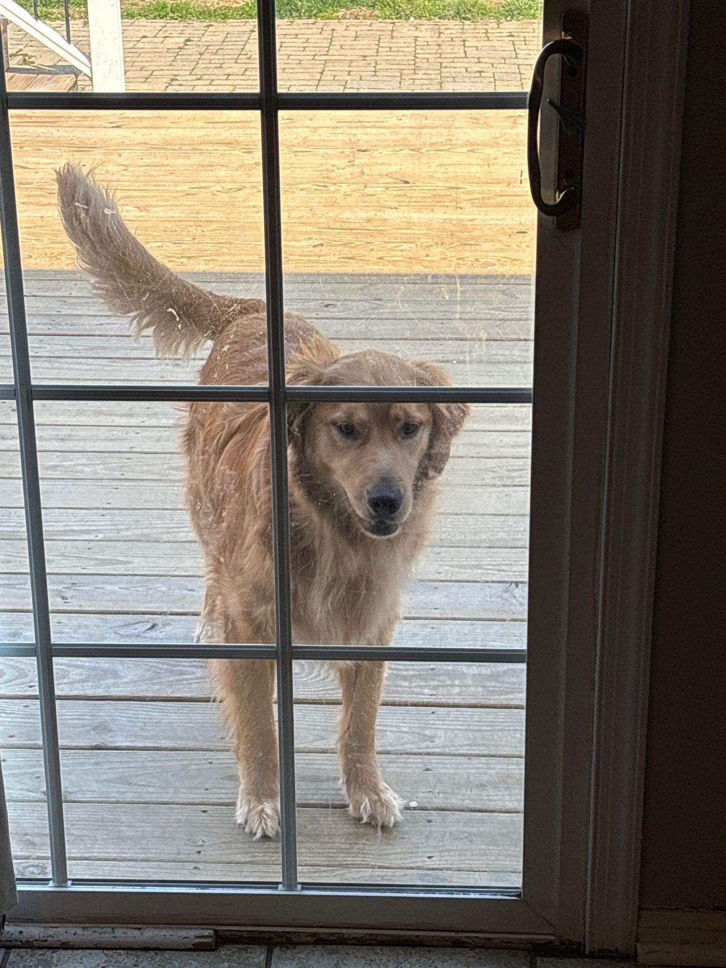 Security Lock install by Laser Focused Solutions LLC