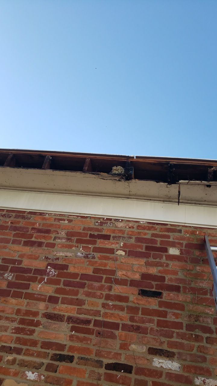 Arlington: CertainTeed Landmark Pro Designer Shingles in Max Def Burnt Sienna by RM Banning, Inc.