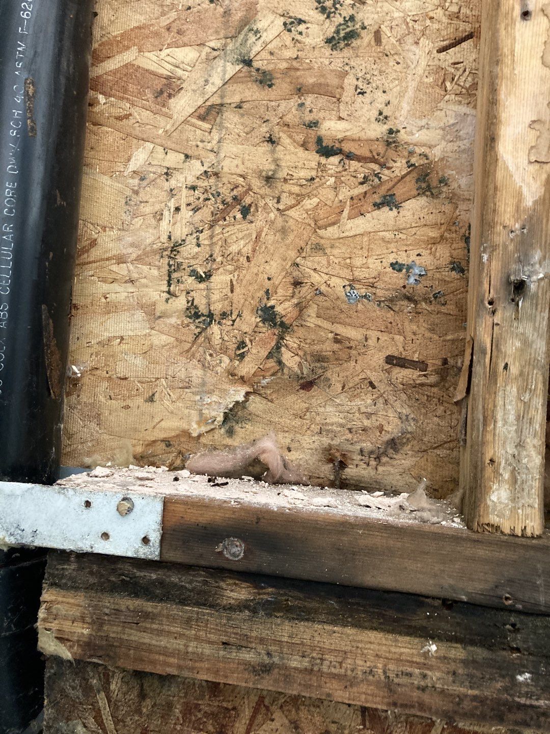 Mold Remediation using Containment by Accountable Home Services