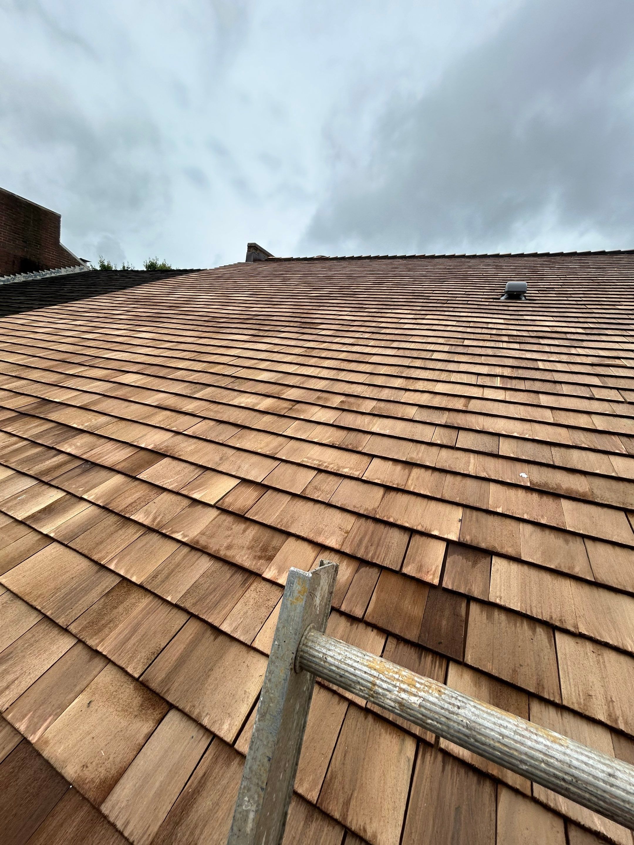 Arlington: Residential Roof Replacement with Perfection CCA-Treated Cedar Shakes by RM Banning, Inc.