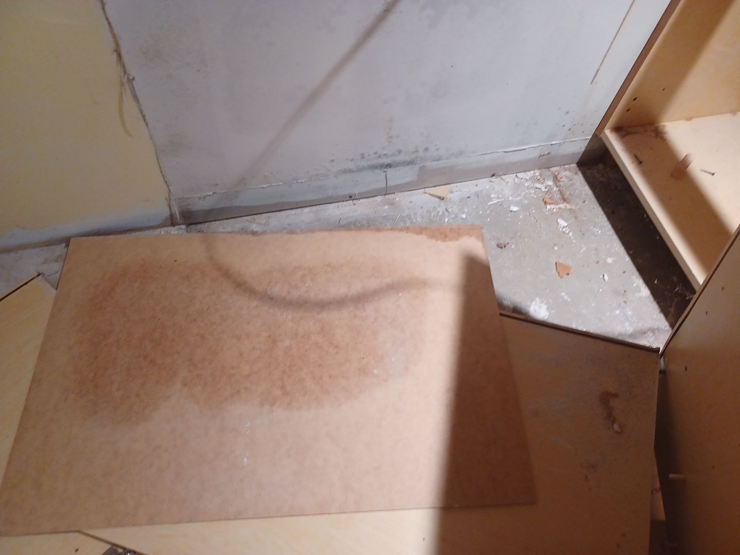 Project in Novi by EzDry Water Mitigation & Property Restoration