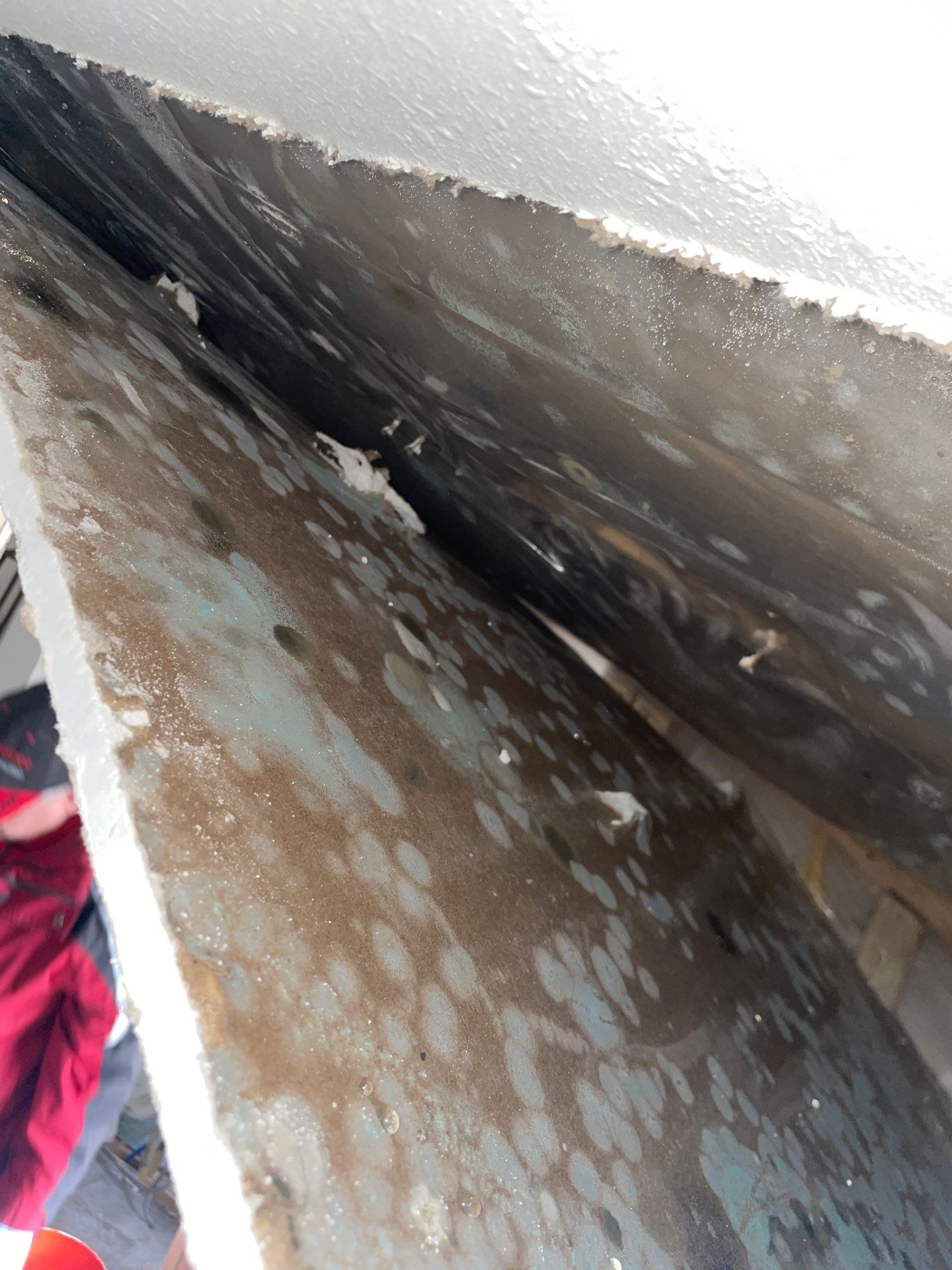 Water & Mold Remediation in Mazomanie by Dry Source Property Restoration 