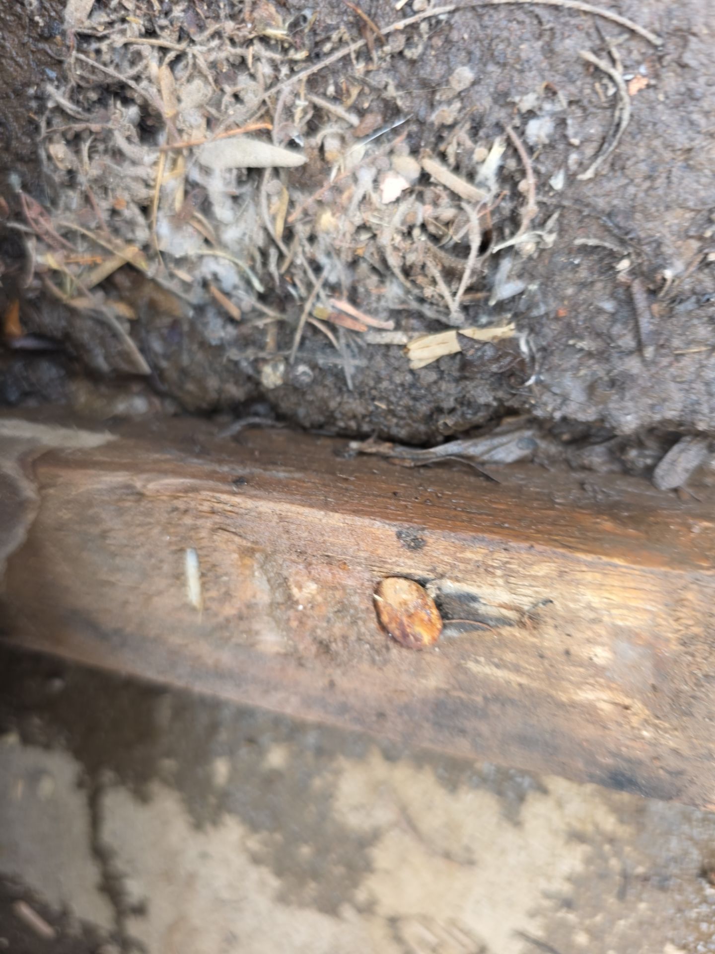 Protect Your Investment: Arizona Roofing Company's Expertise at Work! by Weather-Tite Roofing