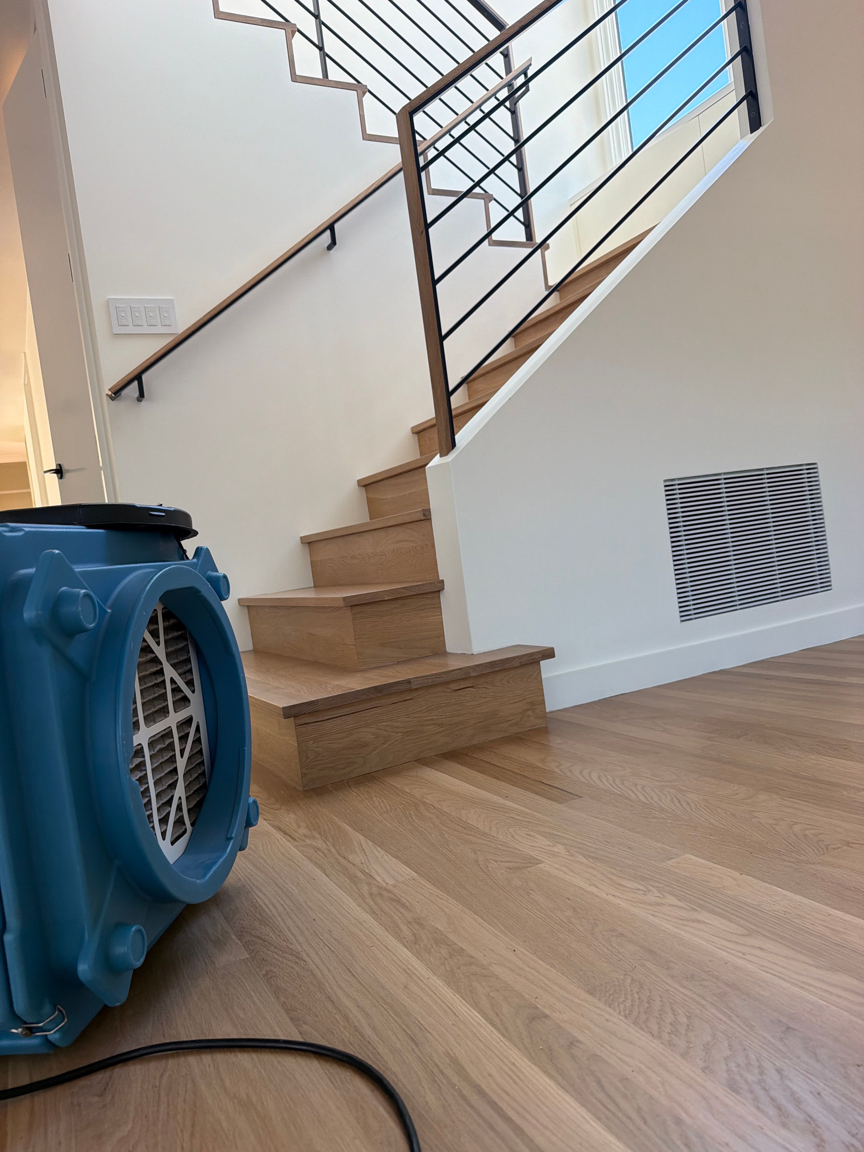 Project in Albany by Tuclean Commercial Services 