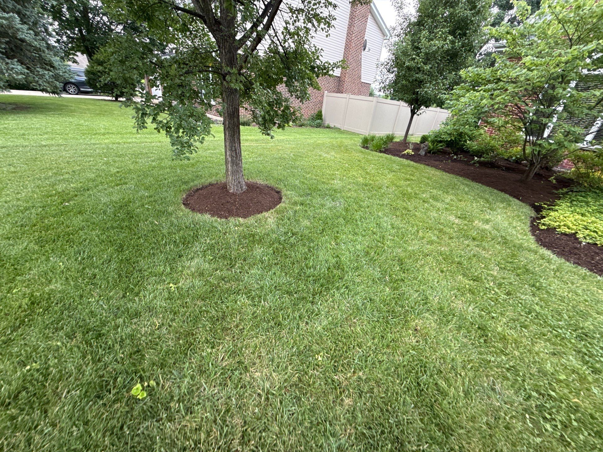 Rob M. - Arlington Heights, IL by A&N 