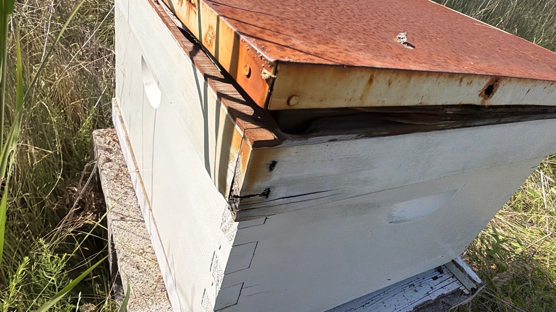 Baseball Diamond Apiary by Rockwall Honey Bee Company