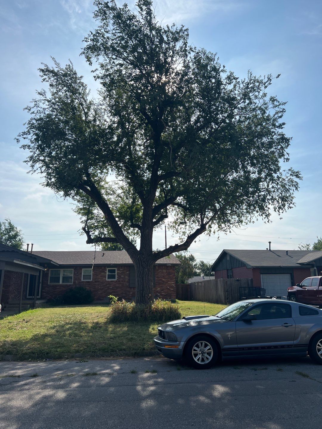 Tree Trimming by Clays Services Inc