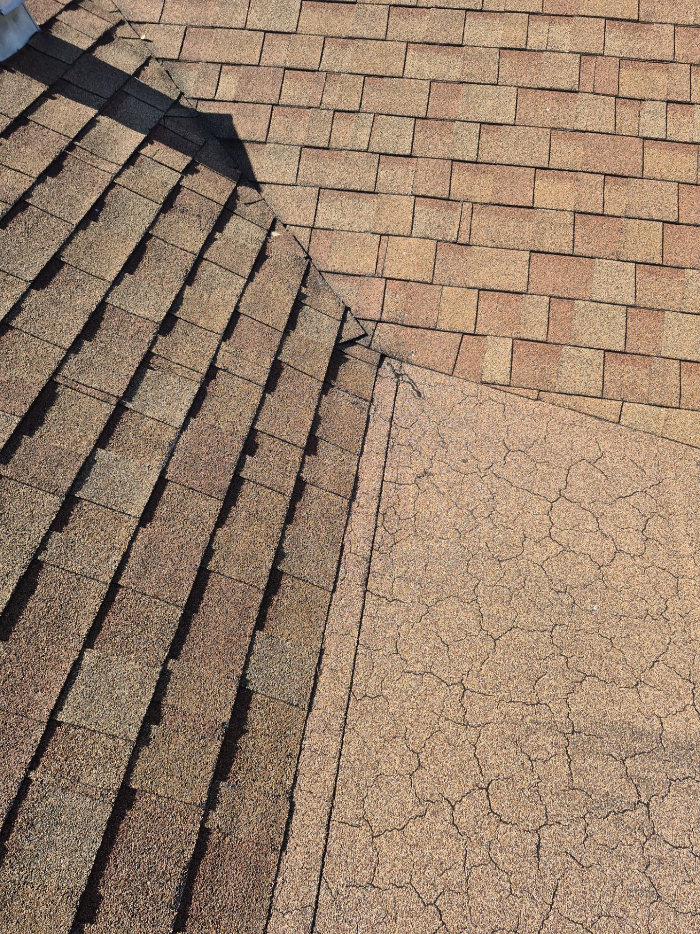 Project in Tampa  33626 by Mitchell Roofing Company LLC 