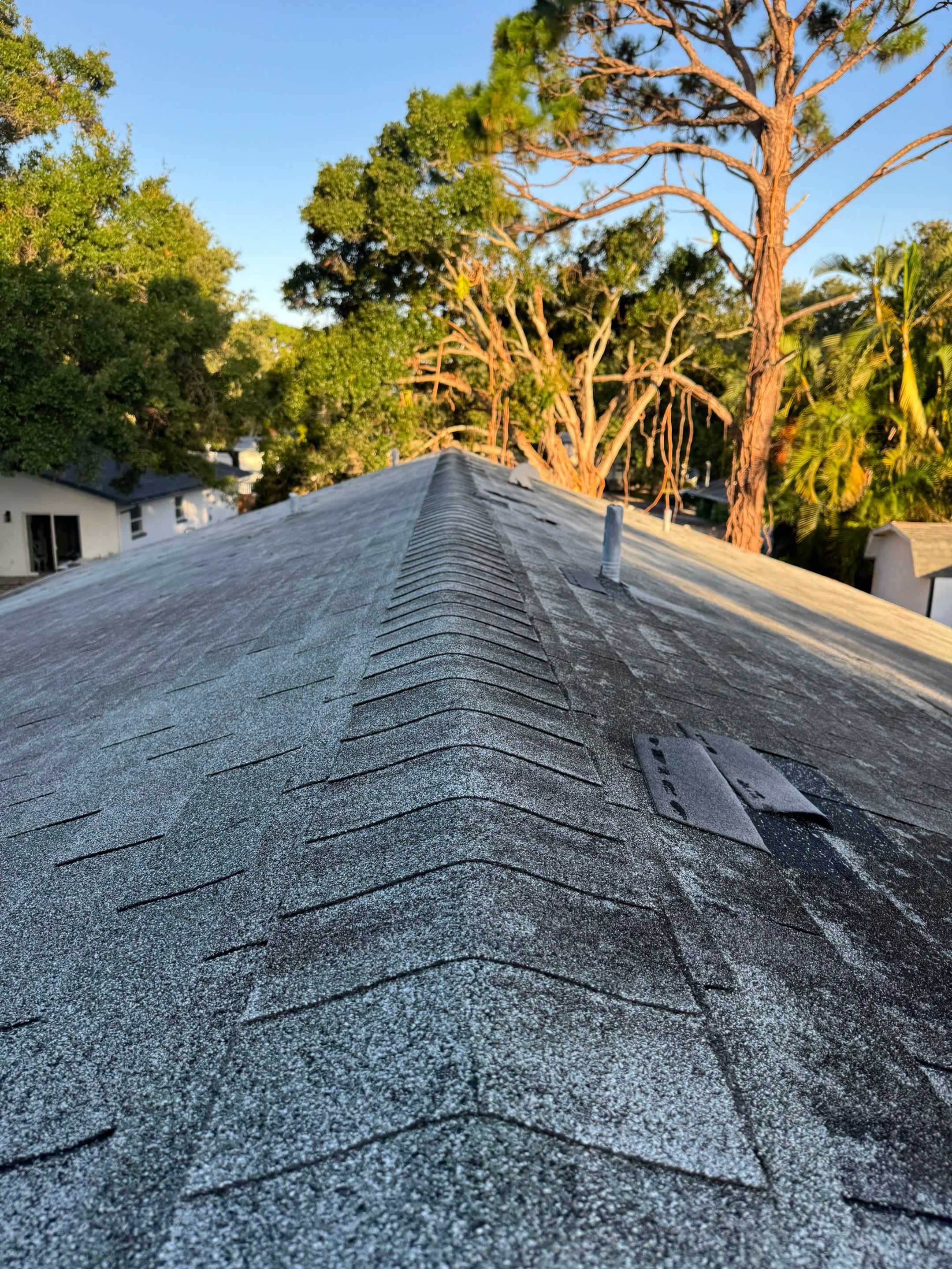Project in Pinellas Park 33781 by Mitchell Roofing Company LLC