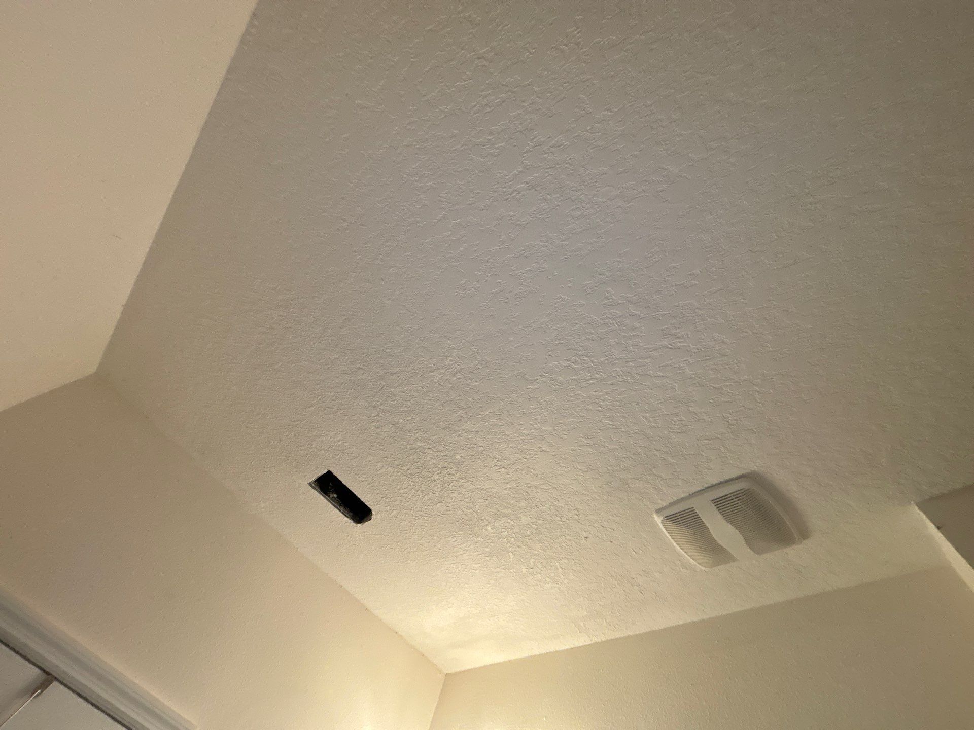 Mold Damage Removal In Palmetto, FL by Ampm Restoration Services