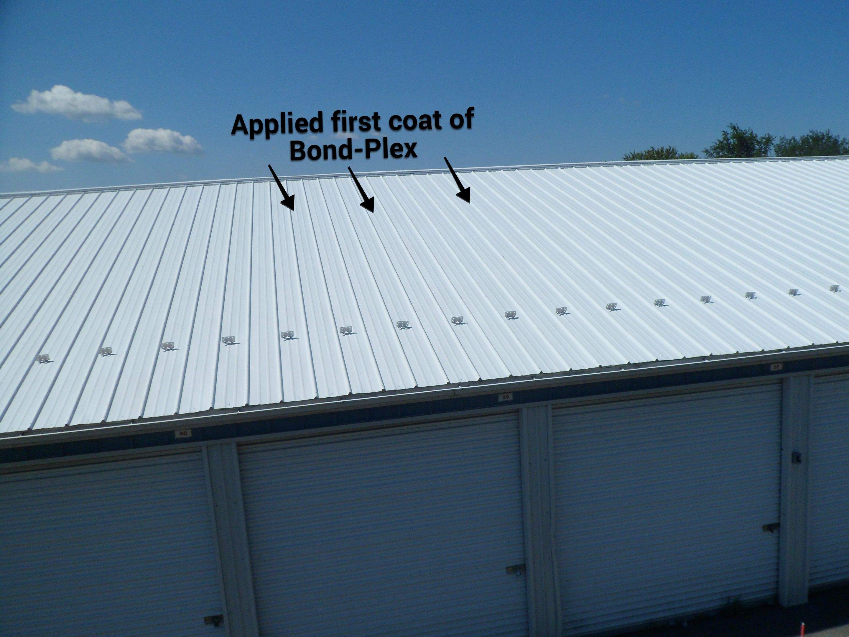 Exterior Painting by Alpha Design Services