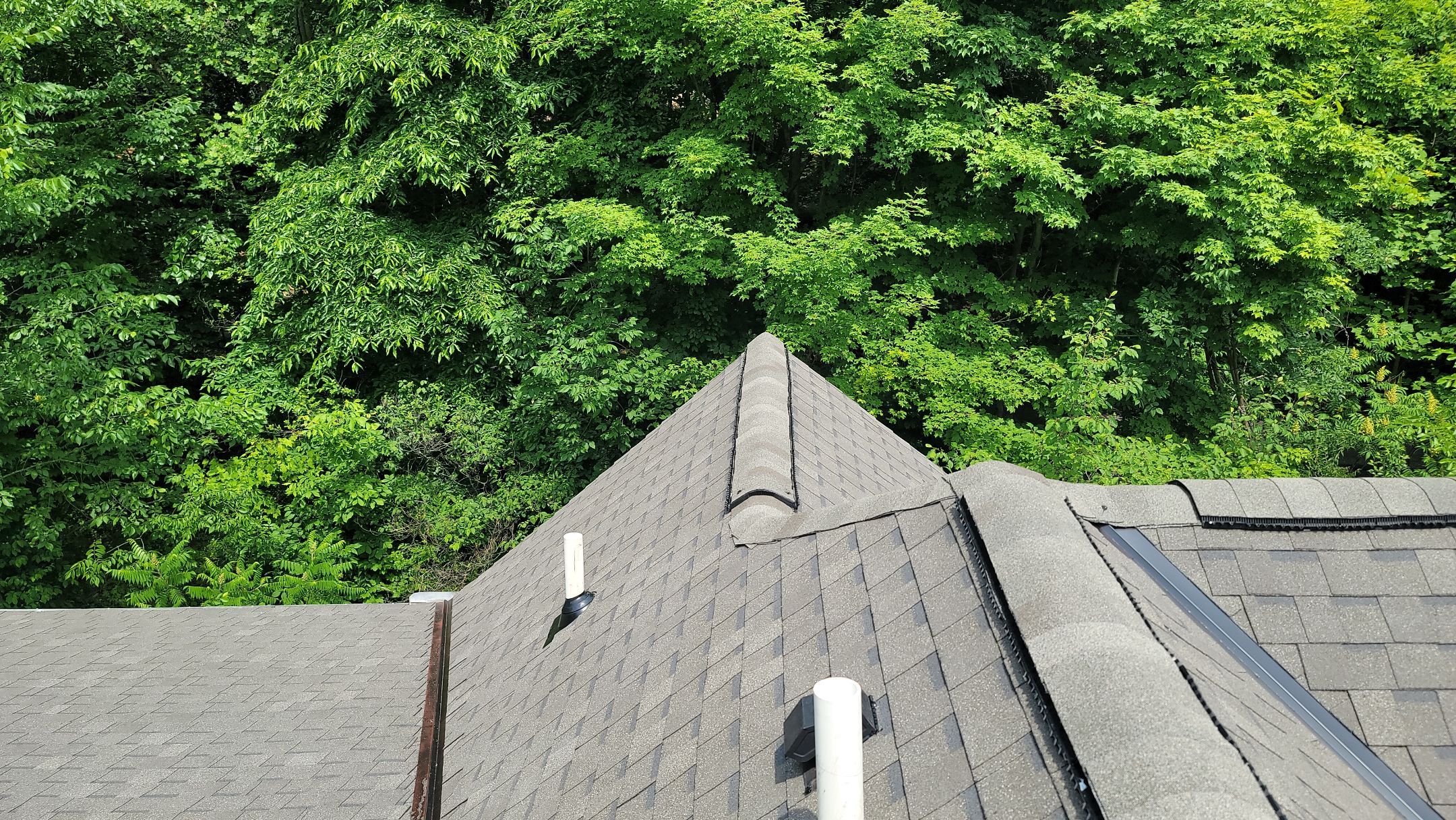 ATLAS PINNACLE HP W/SCOTCHGARD COLOR: WEATHERED WOOD by Eagle Eye Roofing