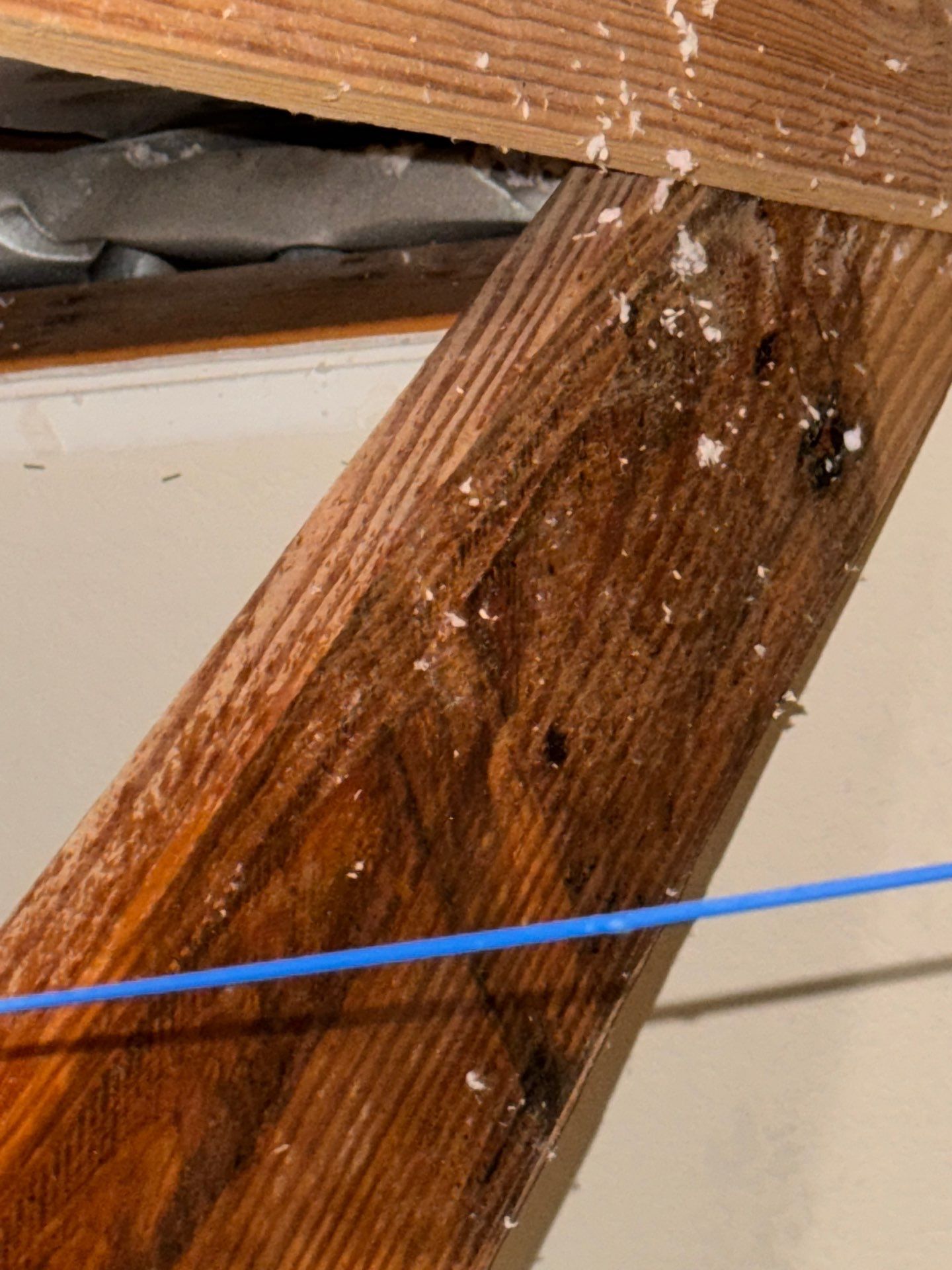 Mold Remediation Job in Katy by Team Home Solutions