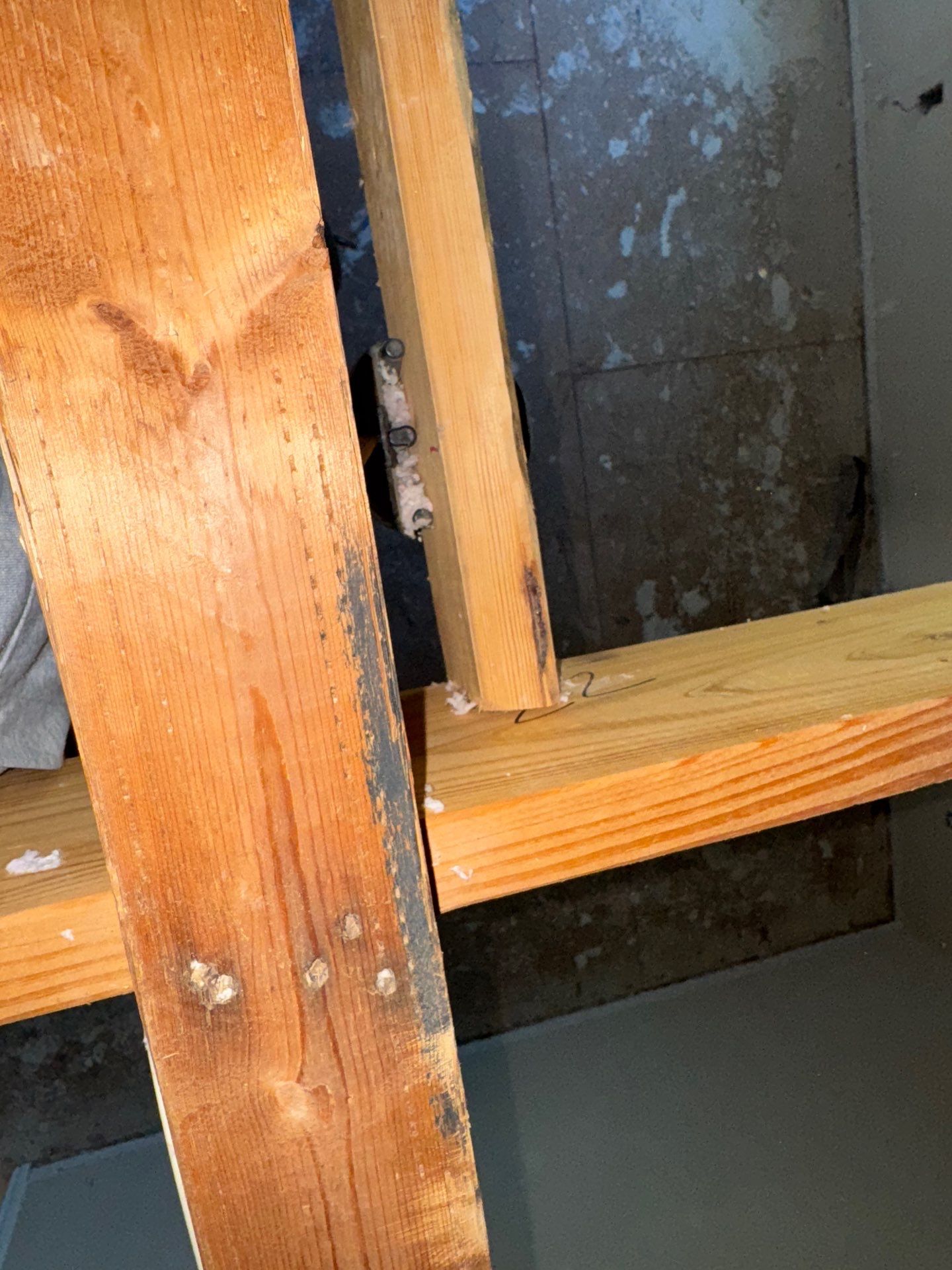 Mold Remediation Job in Katy by Team Home Solutions