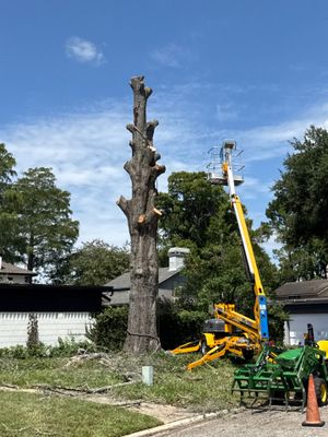 Deerwood Resident | Tree Removal