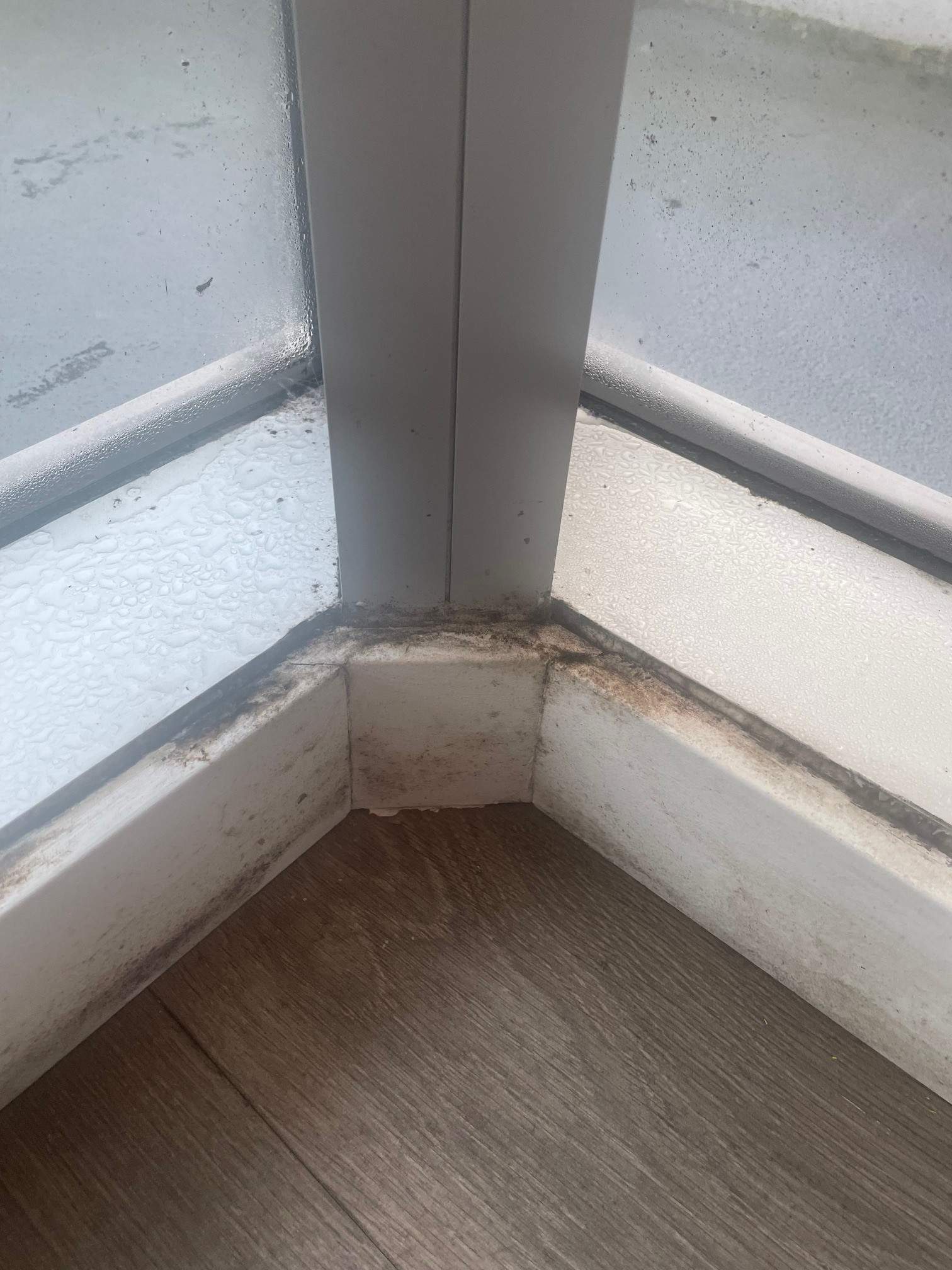 Mold Remediation & Flooring Restoration After Moisture Barrier Failure by YVR Construction Group