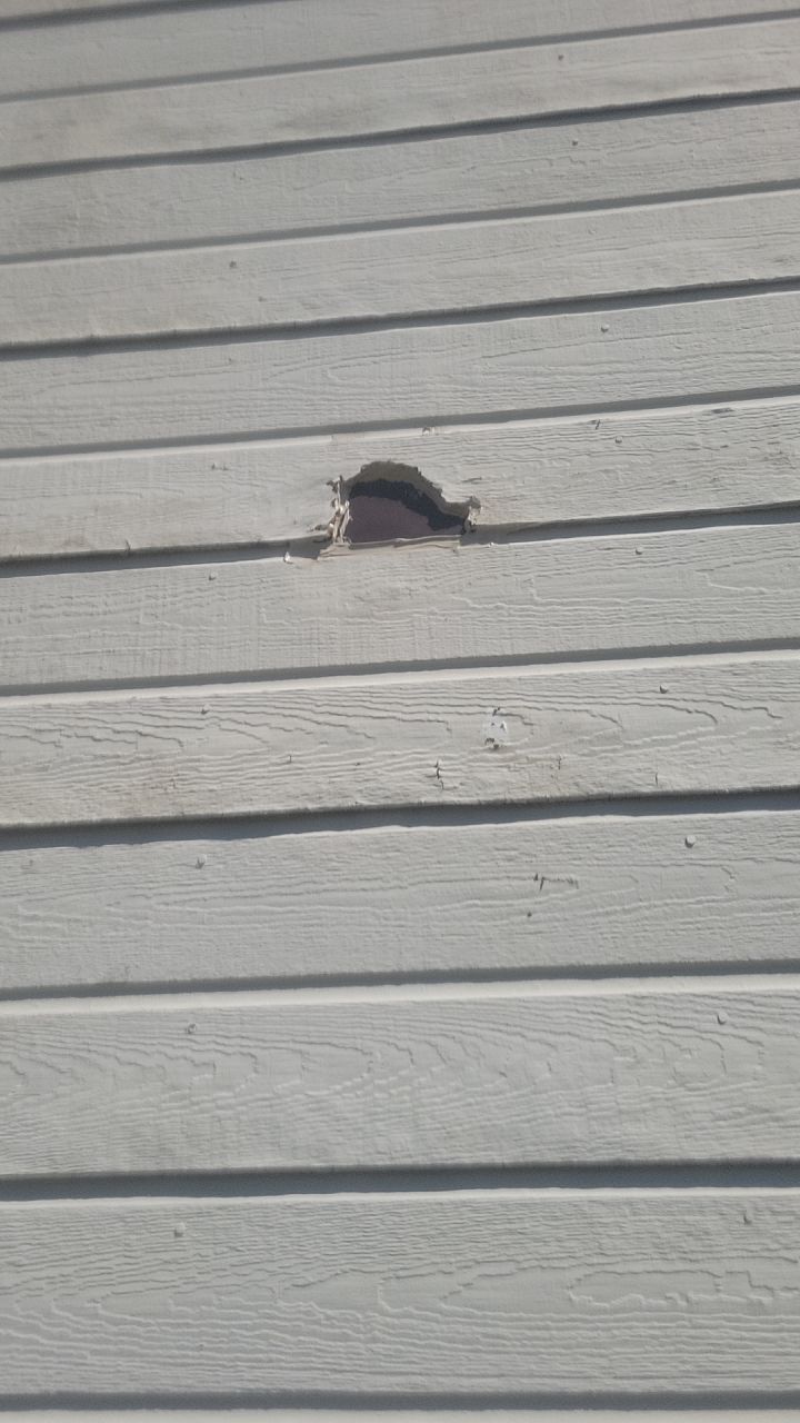 Siding Replacement using CertainTeed Restoration Classis D4 by 180 Contractors