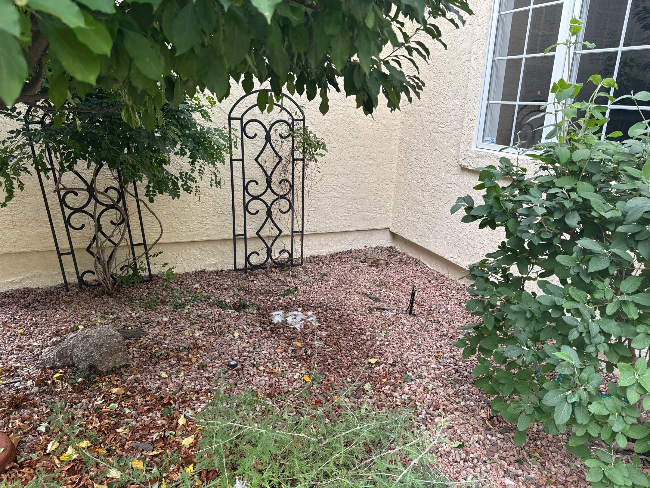Exterior Stucco Repair and Elastomeric in the Broadmoor Bluffs by Carroll Painting LLC