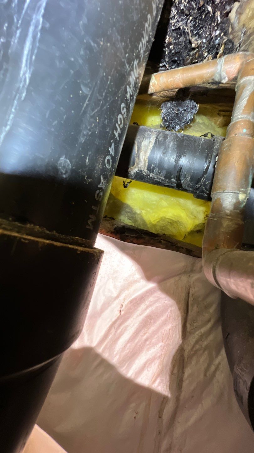 Mold Remediation by Accountable Home Services