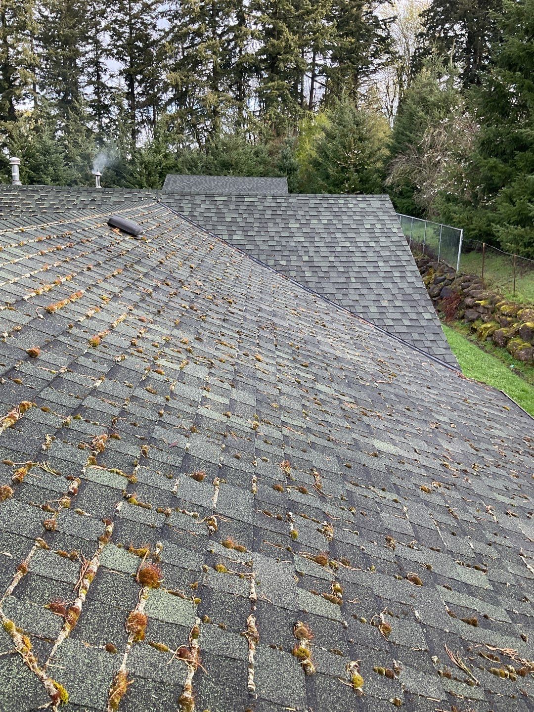 Roof Cleaning Moss Treatment by Willamette Outdoor Wash LLC