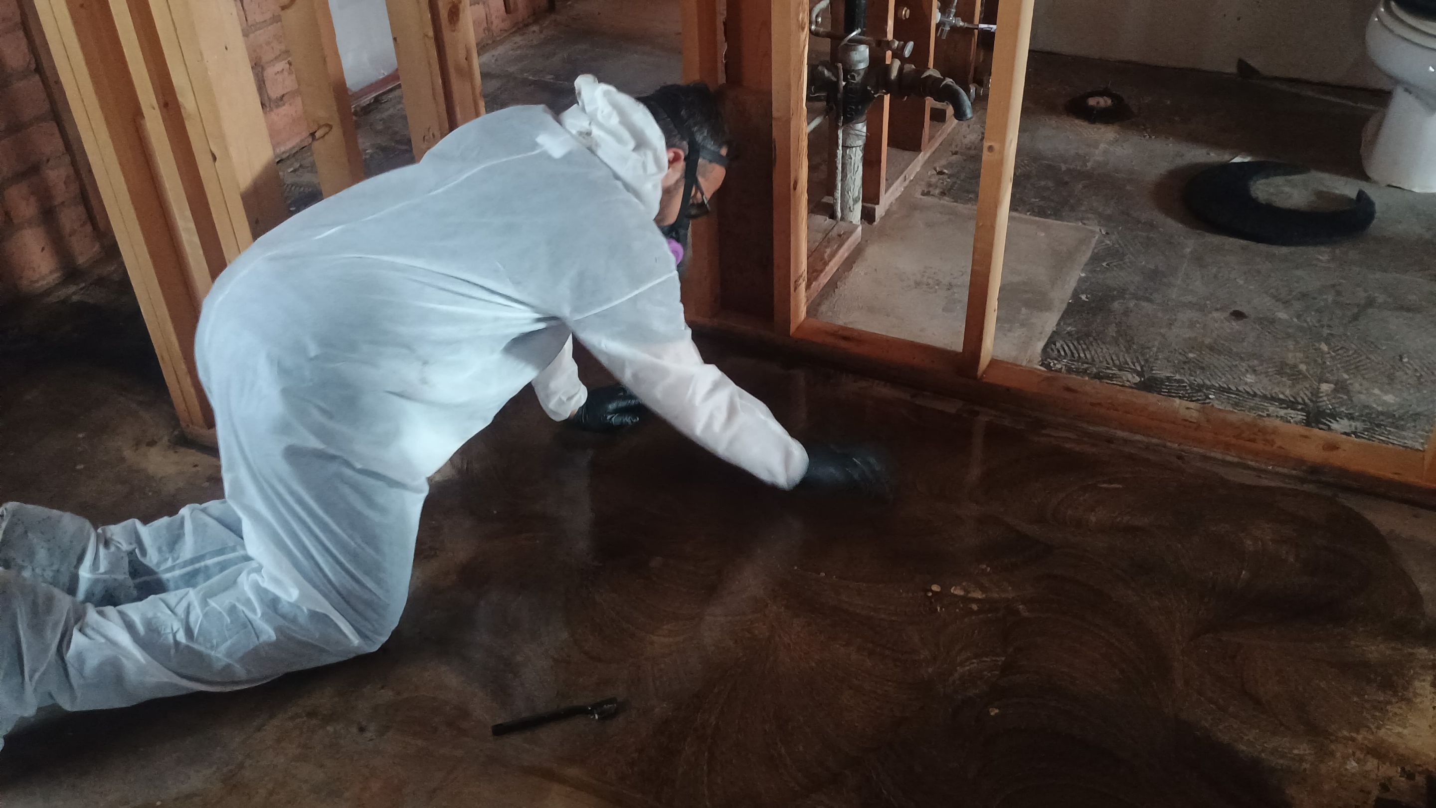 Project in Chandler, AZ by Desert Valley Abatement, LLC