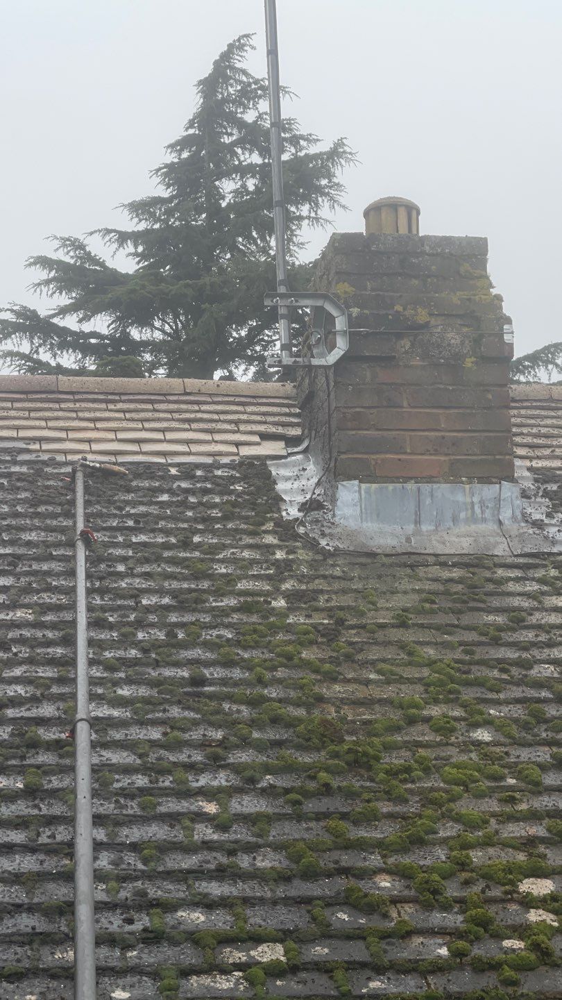 Roof Clean  - Moss Removal - Gutter Clean using Honda 15lpm Low Pressure Washing Machine by Ges Exterior Cleaning ltd