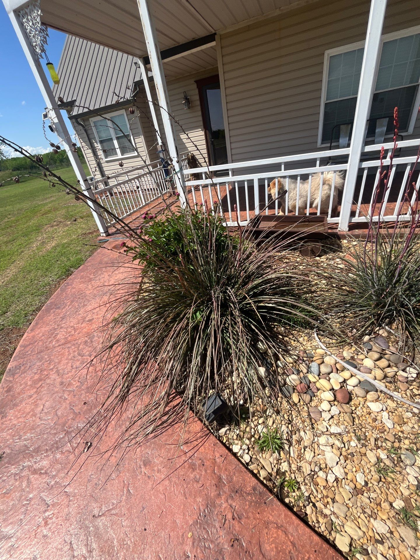 Landscape by Clays Services Inc