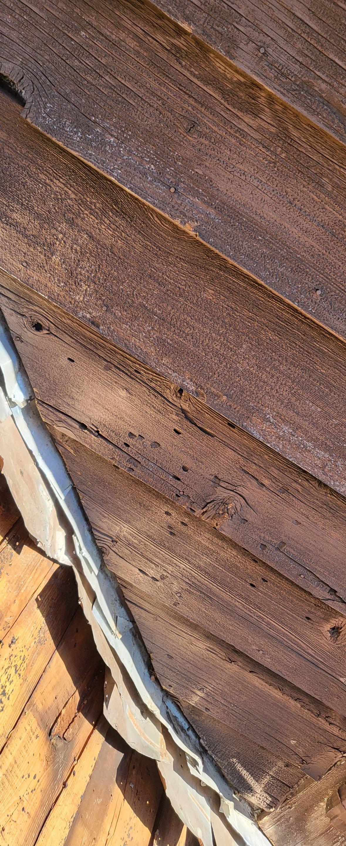 BRAND: ATLAS PINNACLE HP COLOR: PRISTINE SCOTCHGARD HEARTHSTONE by Eagle Eye Roofing