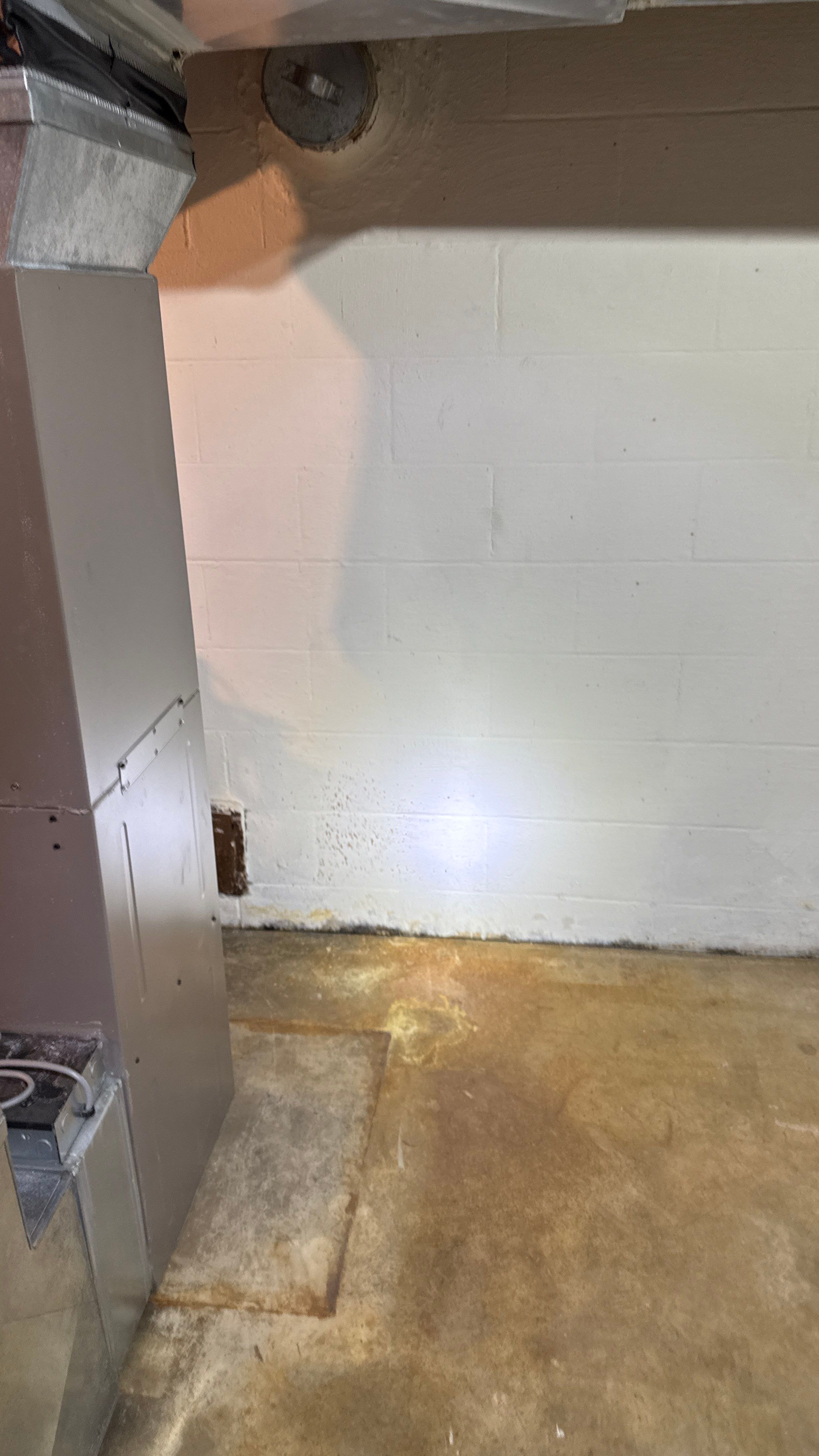 Interior French Drain in Princeton, NJ by Pure Service Pro, LLC 