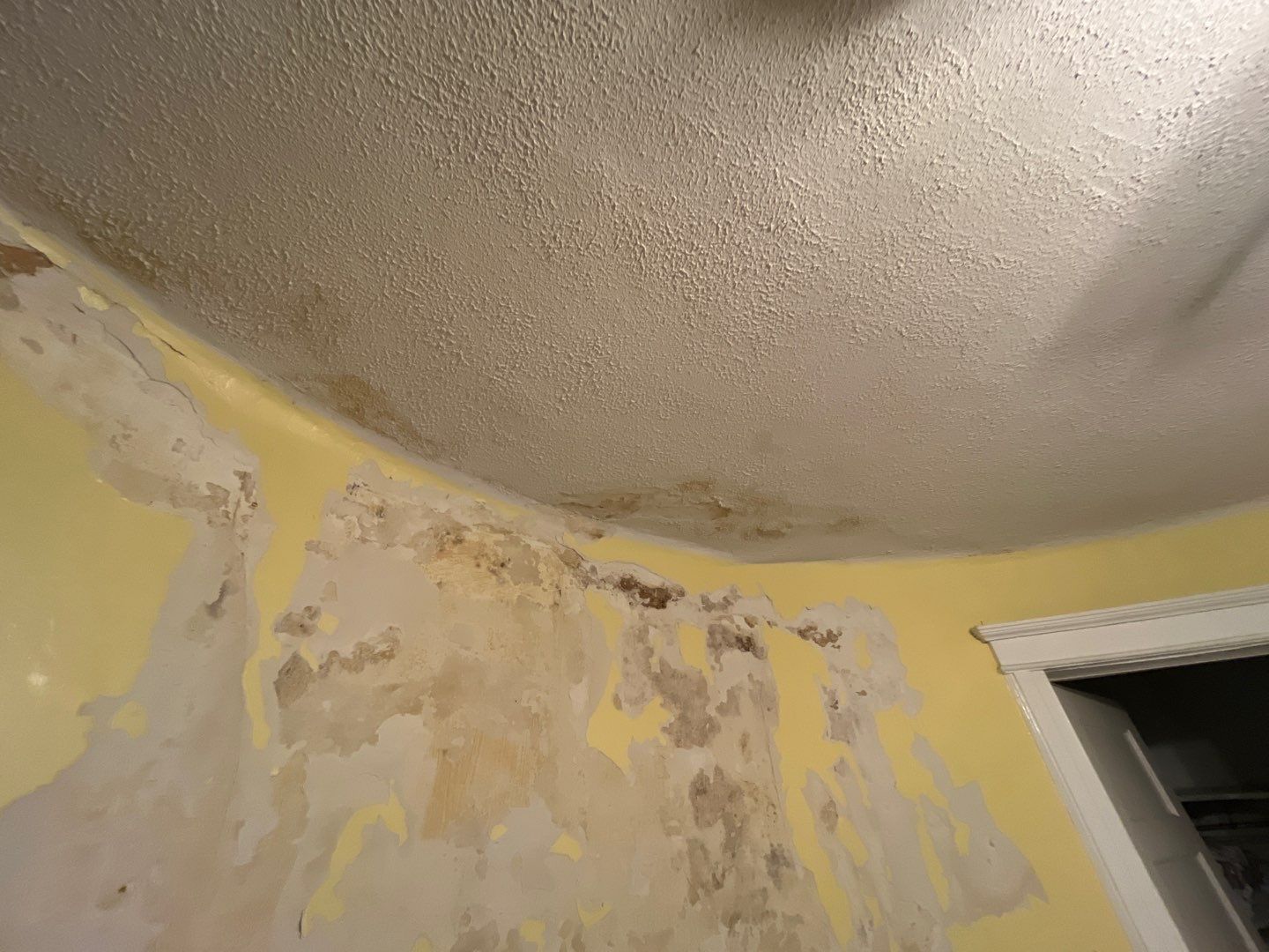 Walls & Ceilings Restoration by Fresh Coat Works LLC