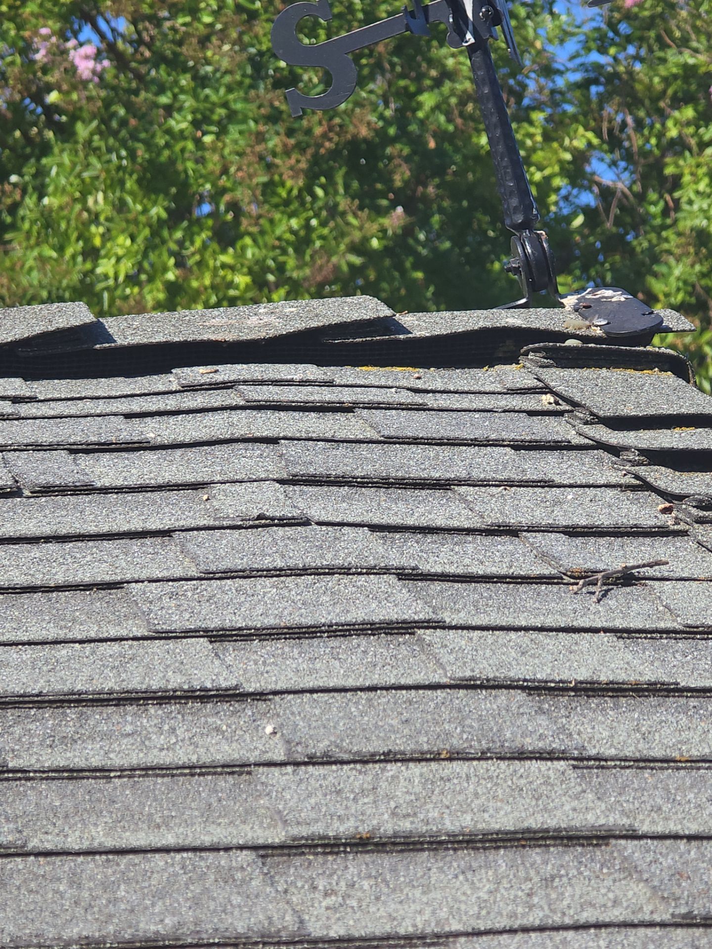 Roof Rejuvenation using Roof Maxx Treatment by Roof Maxx of Folsom