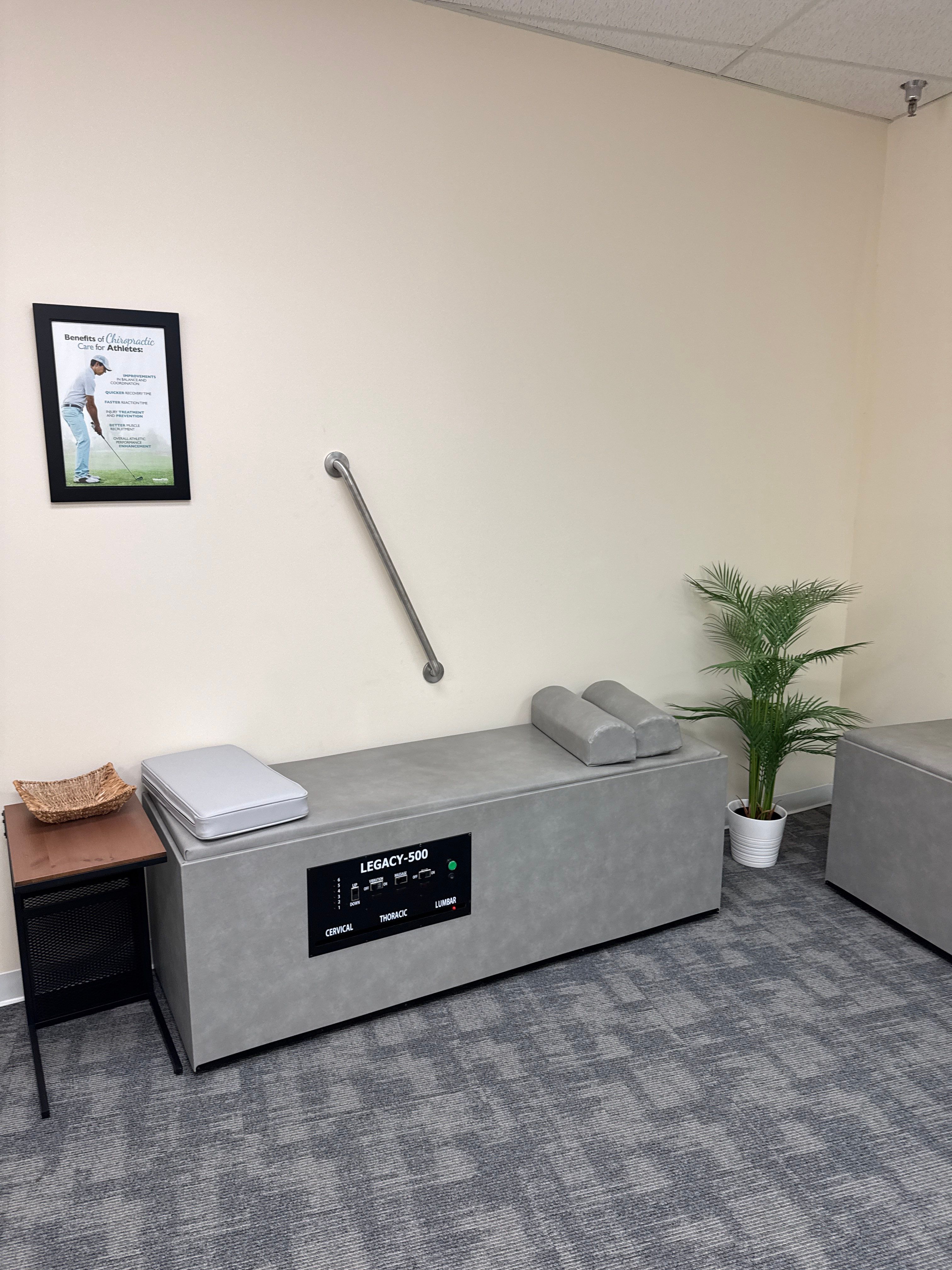 Chiropractic Office Grab Bars by A Step Above Handy LLC