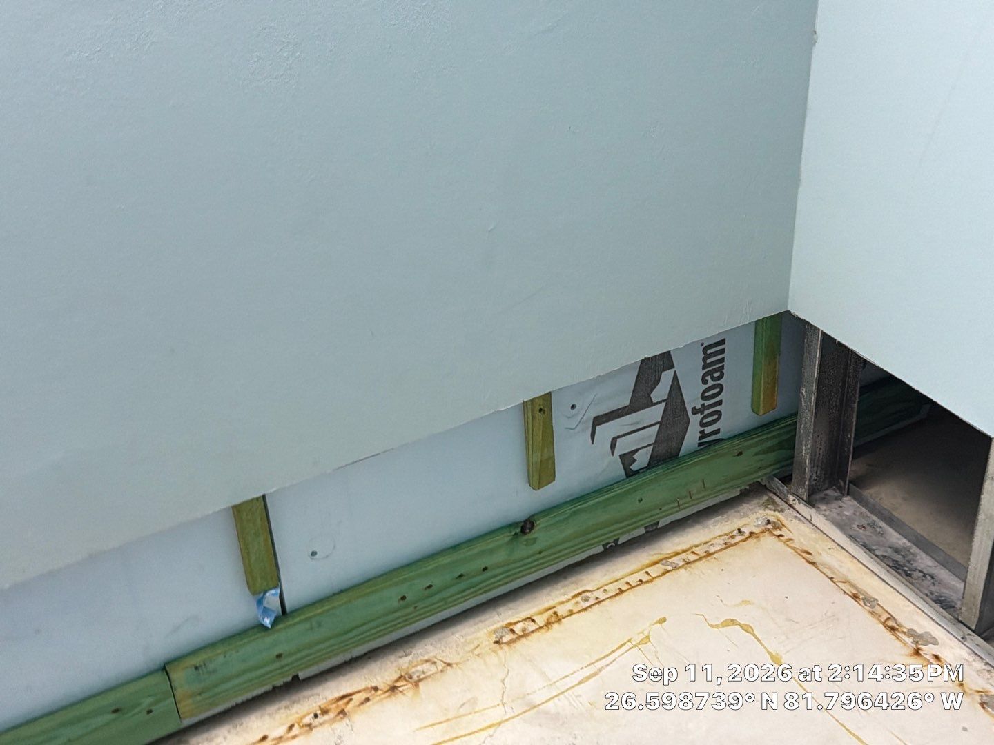 Fort Myers Water Damage Restoration and Professional Mold Remediation by Microscope
